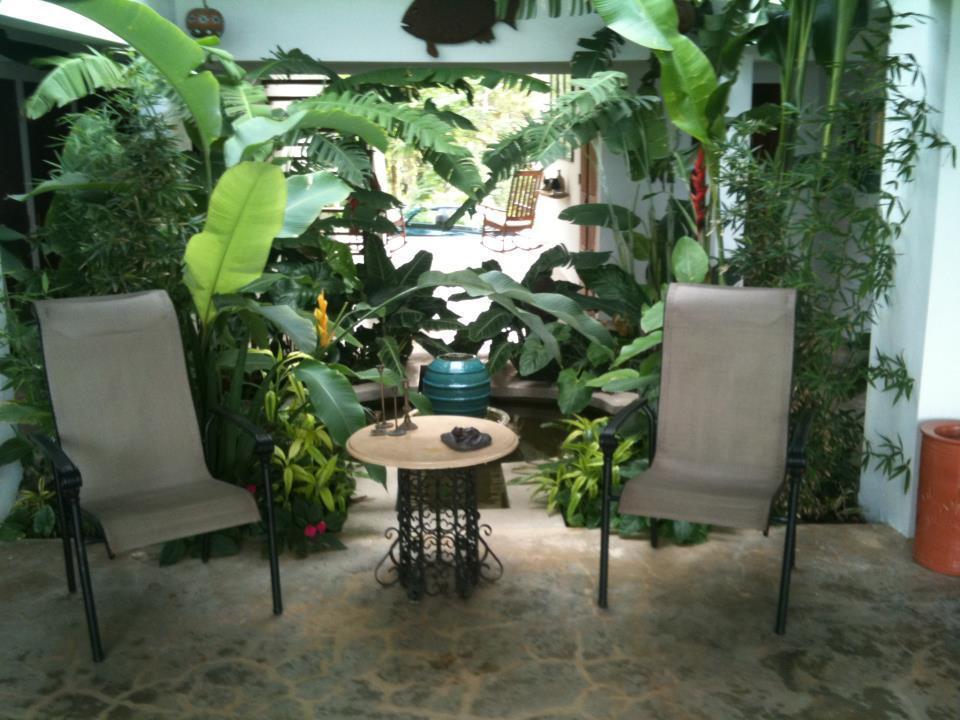 El Hotelito At The Rainforest Experience Farm Fajardo Exteriér fotografie
