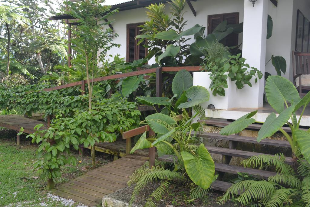 El Hotelito At The Rainforest Experience Farm Fajardo Exteriér fotografie