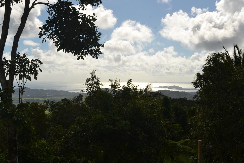 El Hotelito At The Rainforest Experience Farm Fajardo Exteriér fotografie