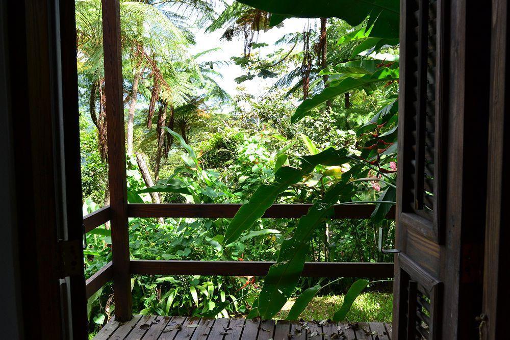 El Hotelito At The Rainforest Experience Farm Fajardo Exteriér fotografie