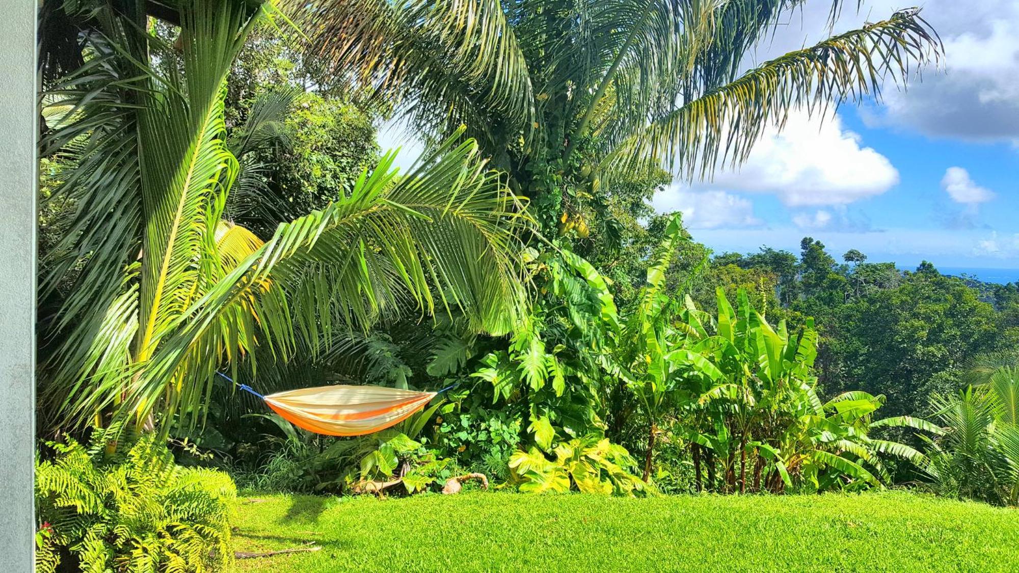 El Hotelito At The Rainforest Experience Farm Fajardo Exteriér fotografie