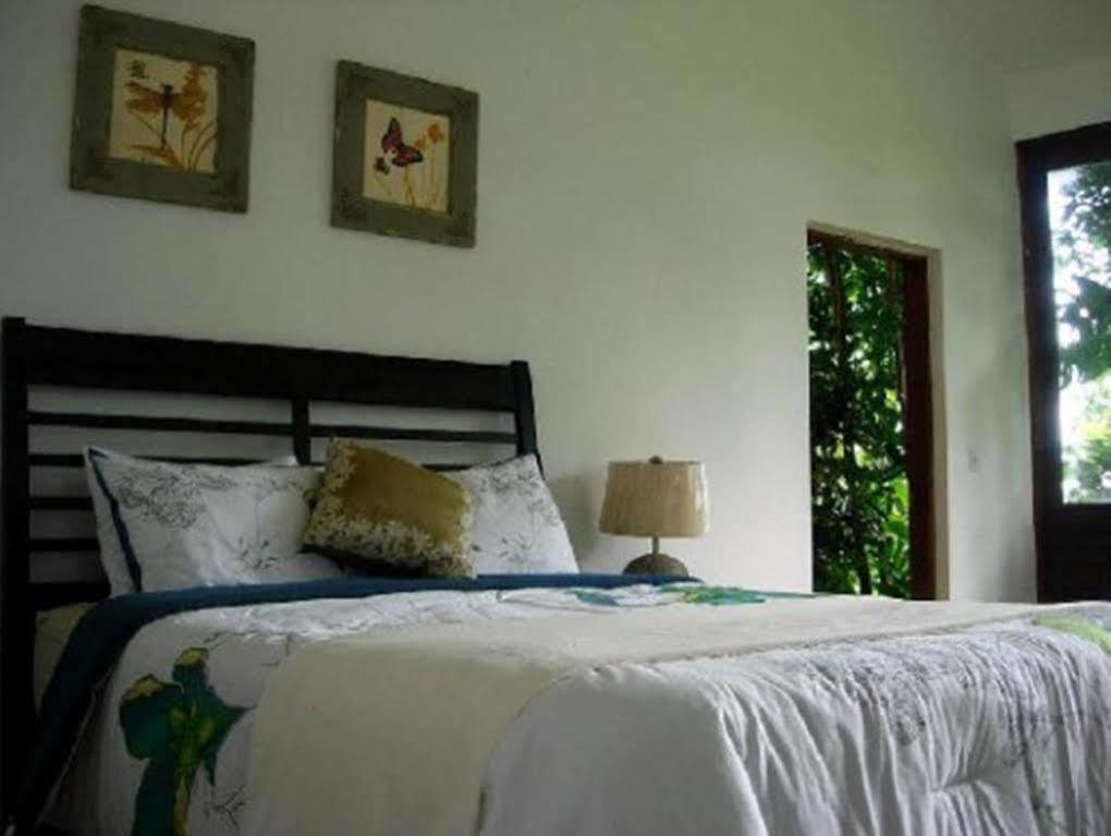 El Hotelito At The Rainforest Experience Farm Fajardo Exteriér fotografie